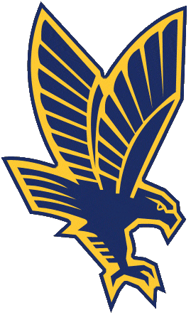 Marquette Golden Eagles 1994-2004 Secondary Logo DIY iron on transfer (heat transfer)